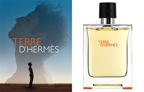 Terre D'Hermes: El Perfume Más Vendido de Hermès 